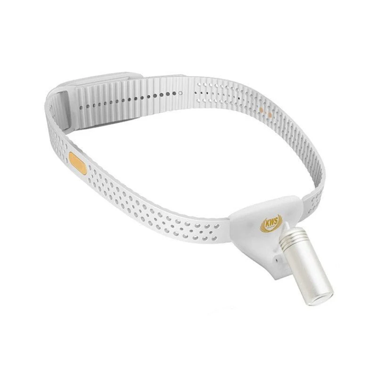 ProDental LED Headlight